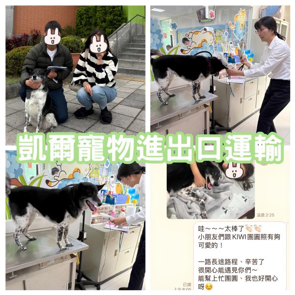 2025/02/04『美國』混種狗狗移民美國生活啦~~~~~